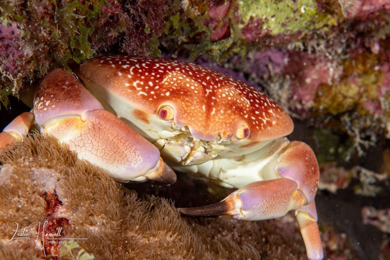 Bonaire_2021-05-09_10-13-09