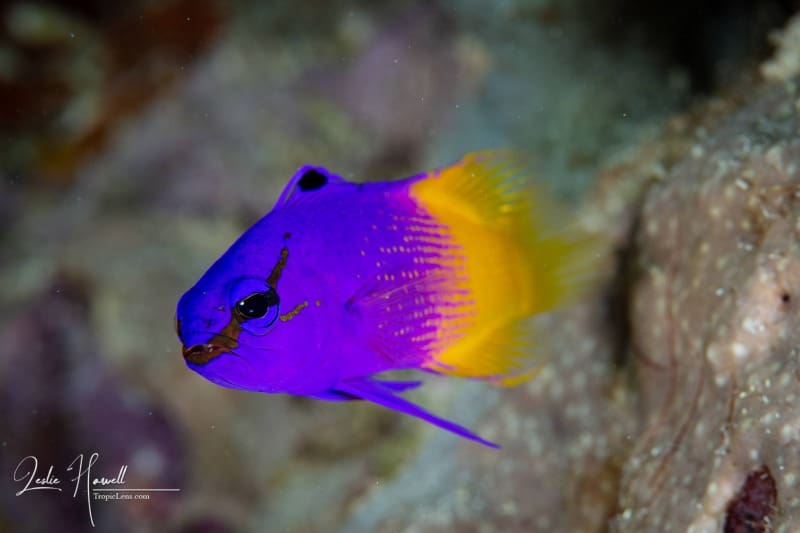 Bonaire_2021-05-09_12-52-36