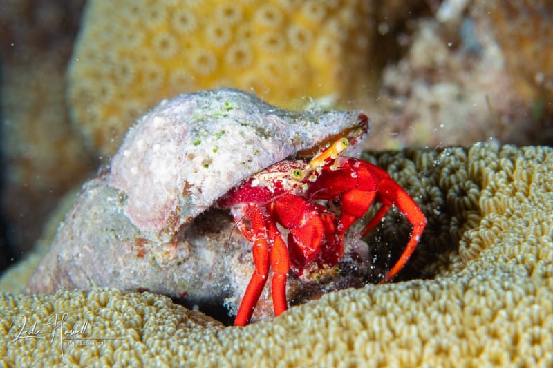 Bonaire_20221-05-23_19-08-41