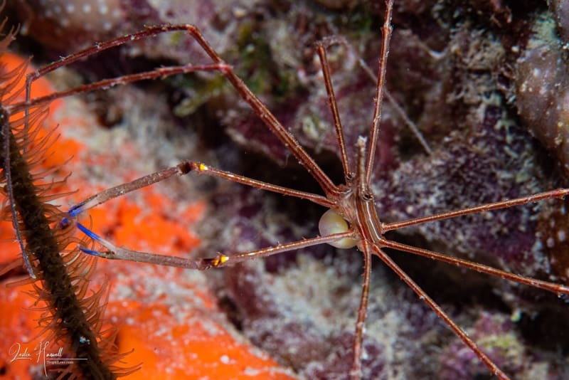 Bonaire_2018-05-09_08-49-38