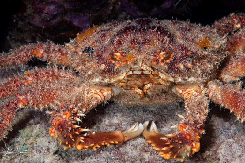 Bonaire_2018-05-09_09-02-17