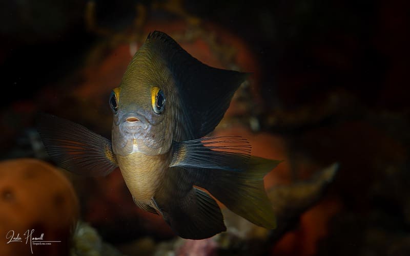 Bonaire_2018-10-16_08-35-00