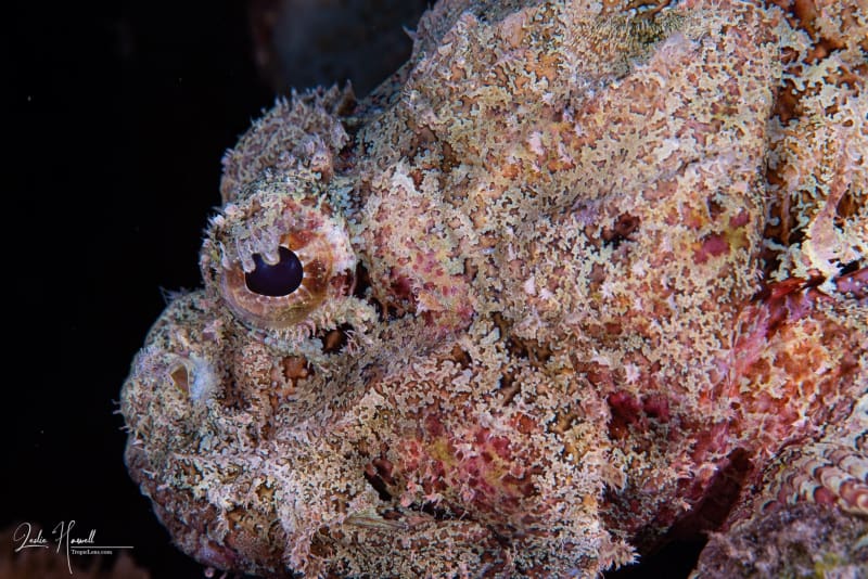 Bonaire_2018-10-16_14-13-09