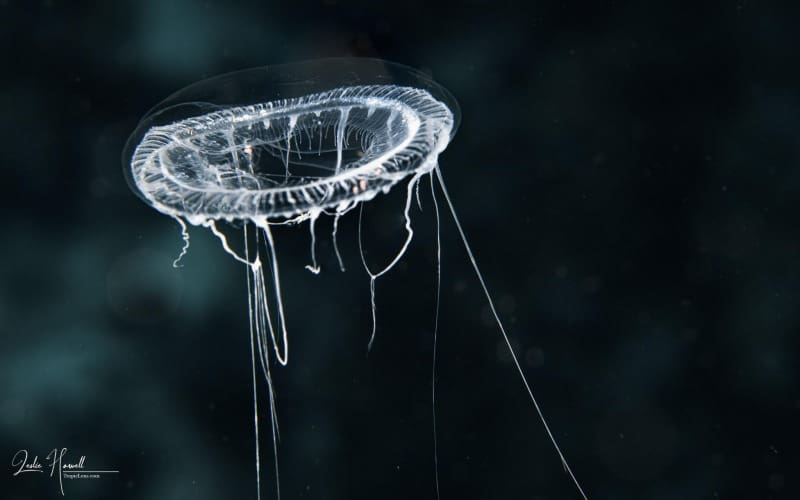 Bonaire_2021-05-02_10-22-39