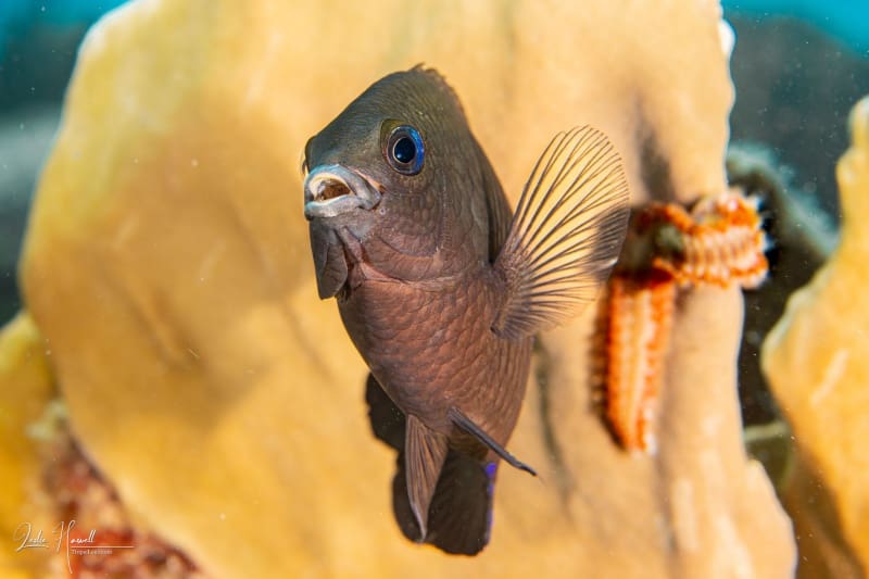 Bonaire_2021-05-02_14-26-12