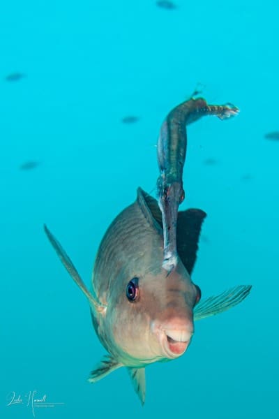 Bonaire_2021-05-02_15-04-33