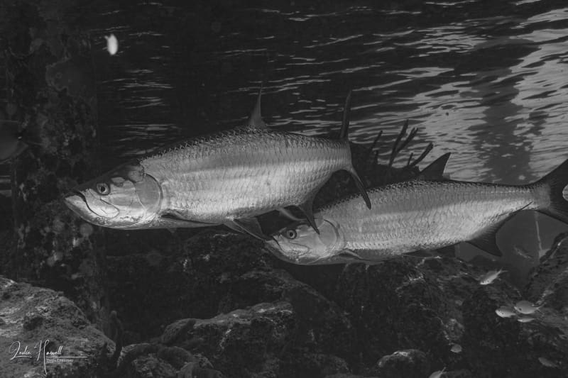 Bonaire_2021-05-02_15-15-01