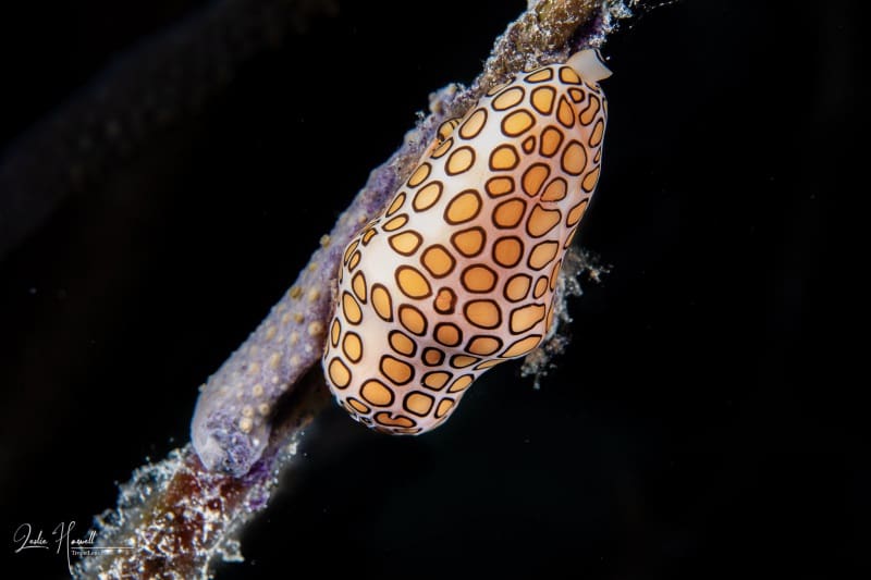 Bonaire_2021-09-21_11-03-33