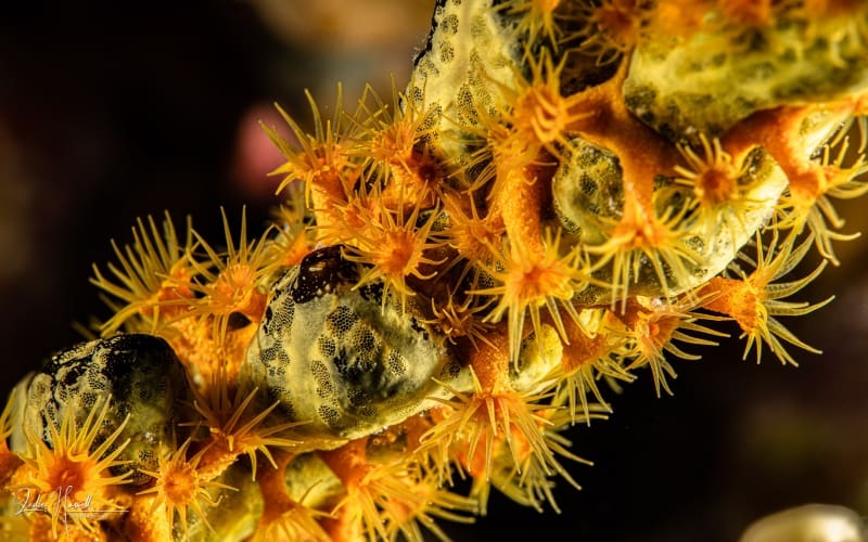 Bonaire_2021-09-21_14-58-08