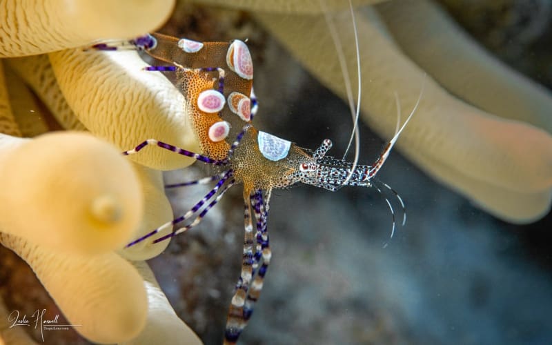 Bonaire_2021-09-21_15-22-57