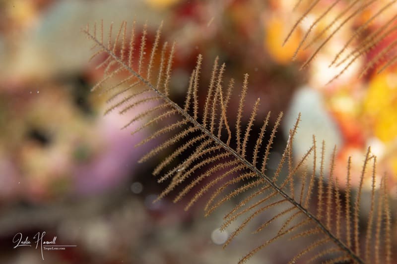 Bonaire_2024-05-27_11-45-21