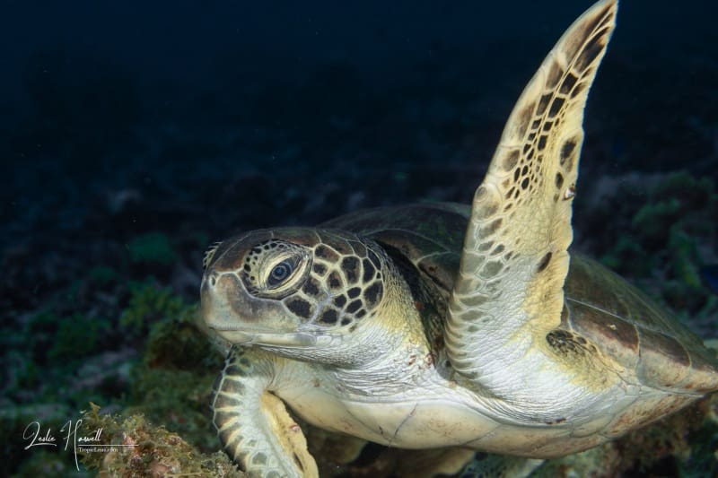 Bonaire_2024-05-27_14-59-44