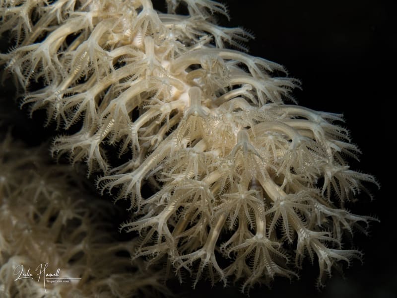 Bonaire_2025-02-01_08-16-33