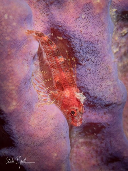 Bonaire_2025-02-01_09-20-36