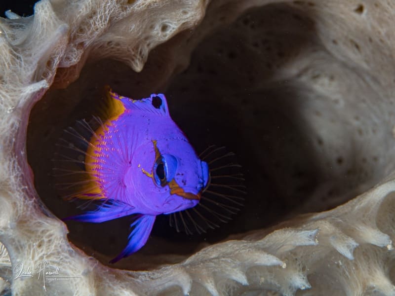 Bonaire_2025-02-01_11-02-40