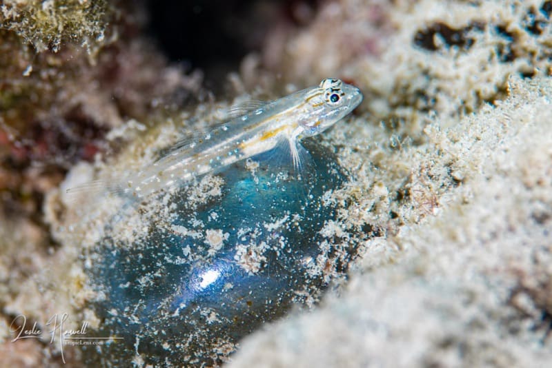 Bonaire_2021-07-09_12-17-25