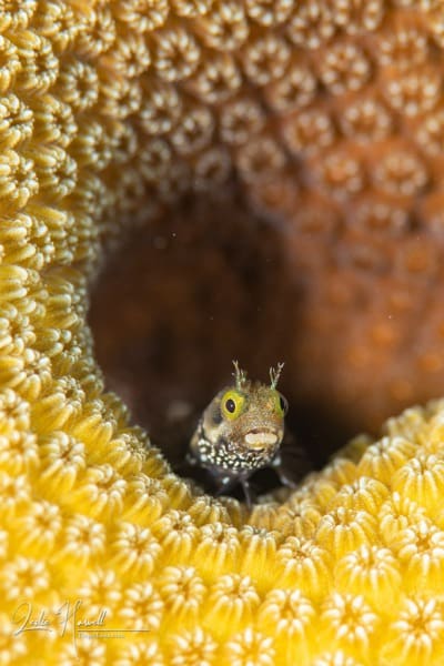Bonaire_2021-07-11_08-56-13