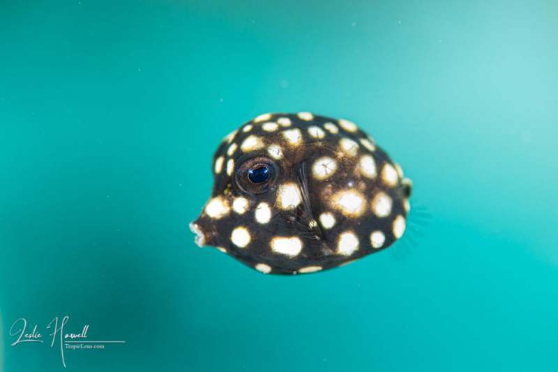Bonaire_2021-07-11_09-31-09