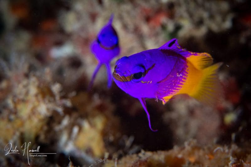 Bonaire_2021-08-19_13-36-08