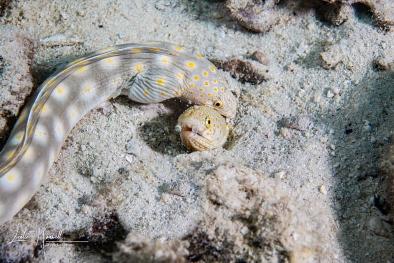 Bonaire_2021-08-19_14-11-08