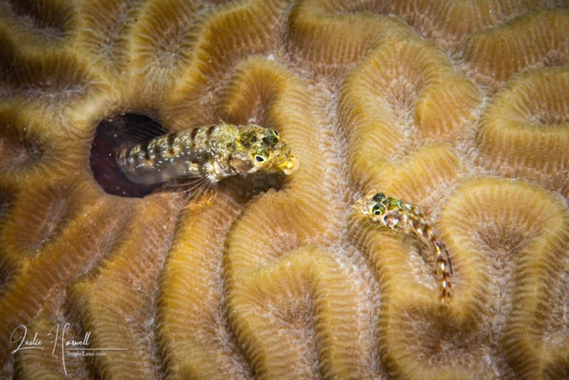 Bonaire_2021-08-26_12-44-05