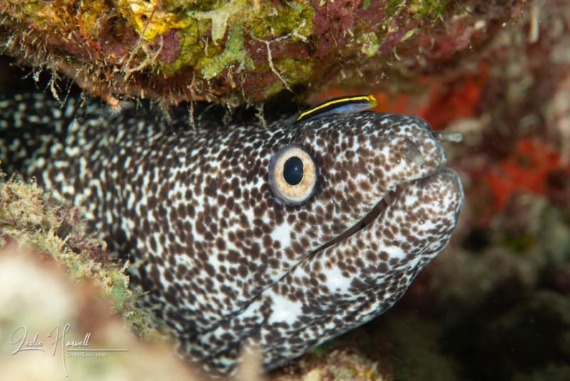 Bonaire_2021-08-26_13-00-57
