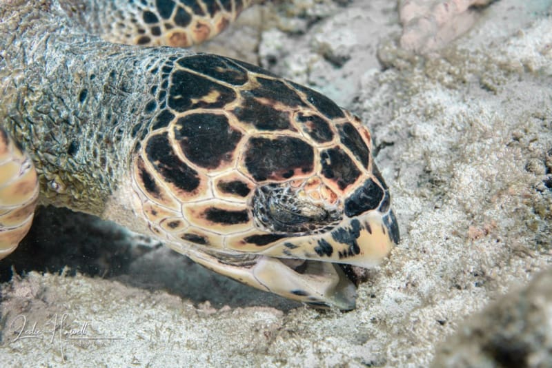 Bonaire_2021-10-02_10-37-42