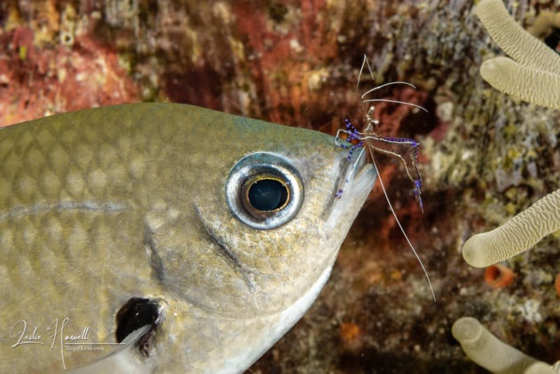 Bonaire_2021-10-16_10-29-57
