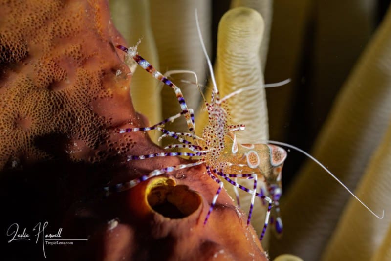 Bonaire_2021-10-16_10-50-52-Edited-_20211016