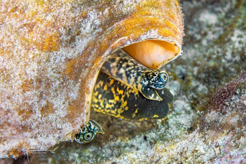 Bonaire_2021-10-23_11-37-58