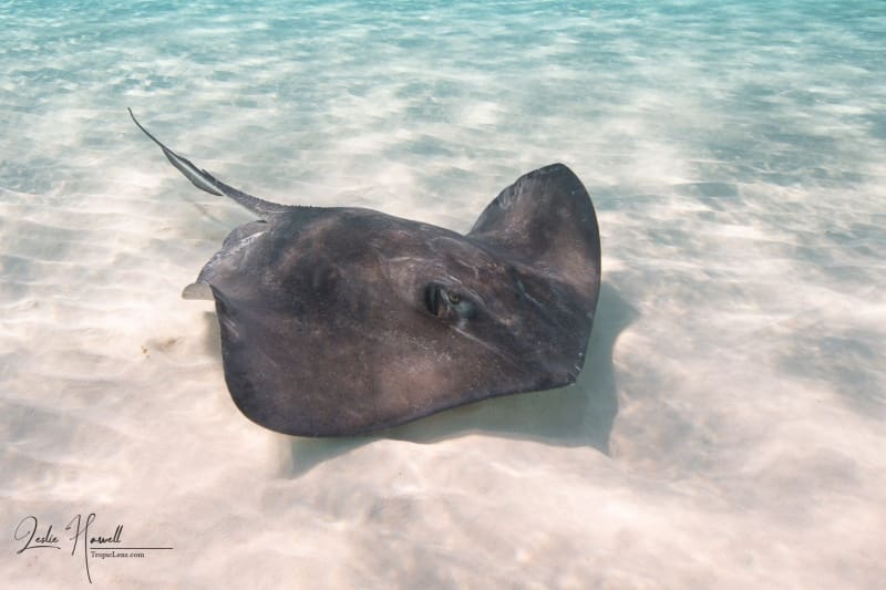 GrandCayman_2021-12-09_11-51-14-2