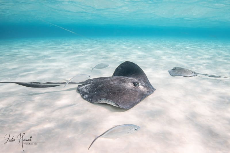 GrandCayman_2021-12-09_12-07-49