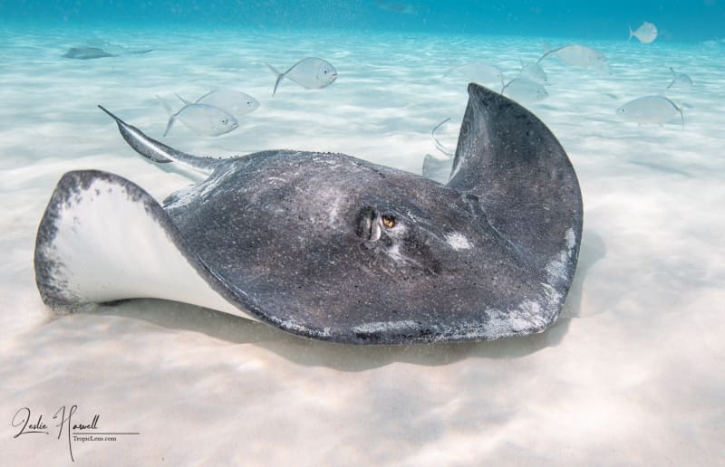 GrandCayman_2021-12-09_12-10-13