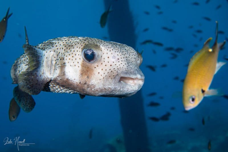 Bonaire_2021-06-20_11-54-31