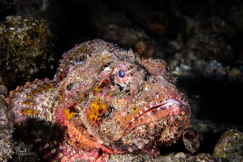 Bonaire_2021-06-20_12-12-50