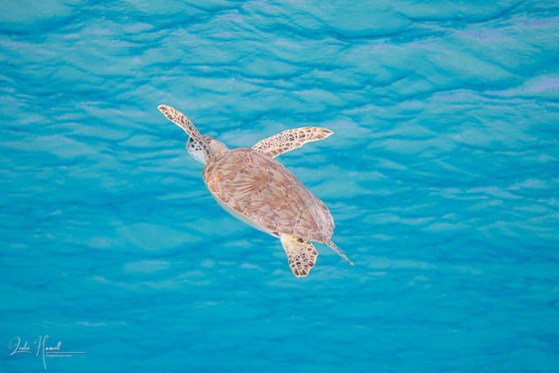 Bonaire_2021-06-23_10-05-57