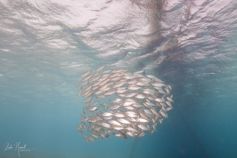 Bonaire_2021-09-17_12-18-07