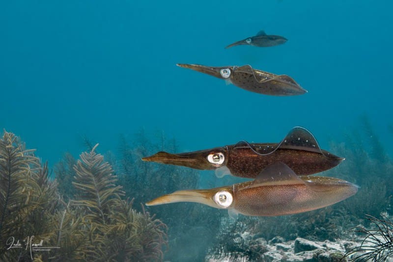 Bonaire_2021-09-17_12-29-31-Edited-_20210917-2