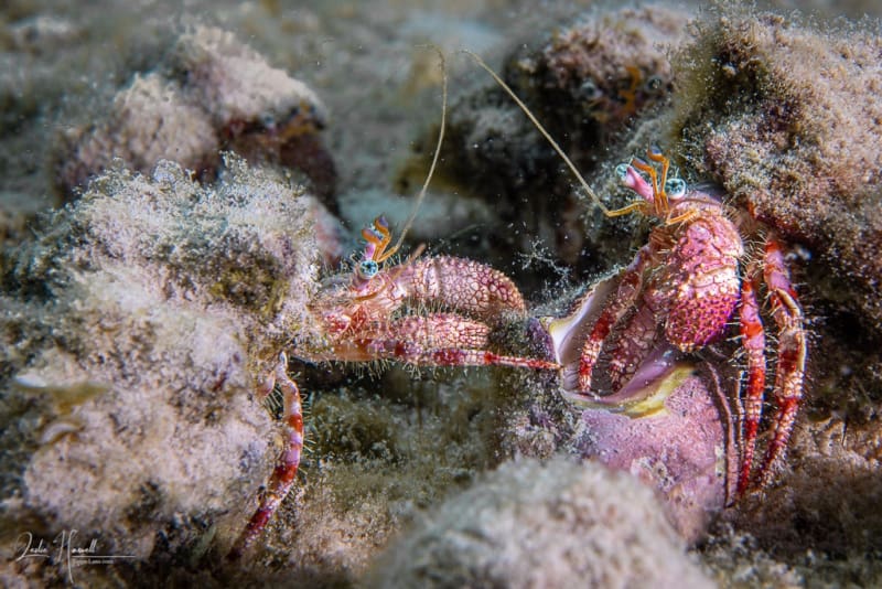 Bonaire_2021-10-10_09-54-14