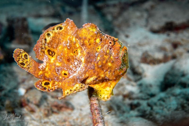 Bonaire_2021-10-10_11-03-22