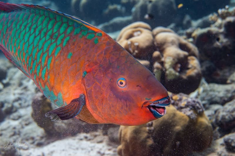 Bonaire_2021-10-10_11-14-18