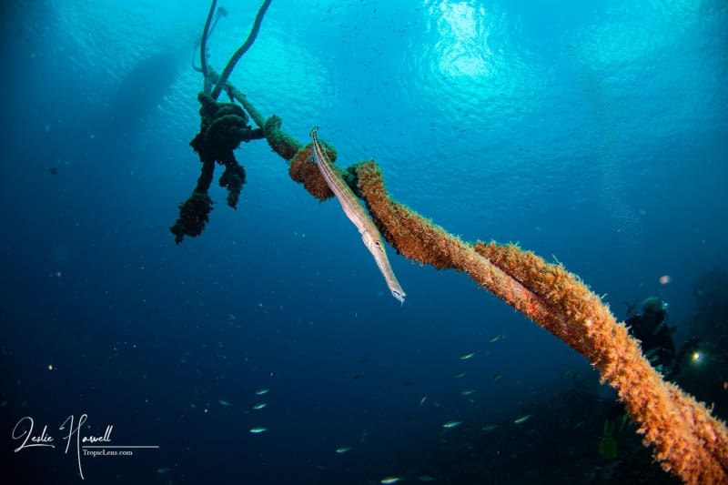 1_Curacao_2021-03-21_11-17-55