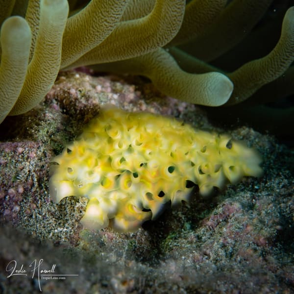 Curacao_2021-02-10_12-50-30