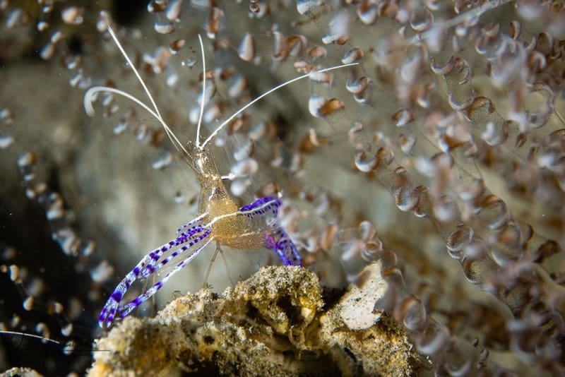 Curacao_2021-02-10_13-11-52