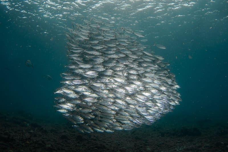 Curacao_2021-02-18_09-48-56