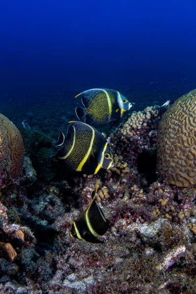 Curacao_2021-02-18_10-24-03-Edited-_20210218-2