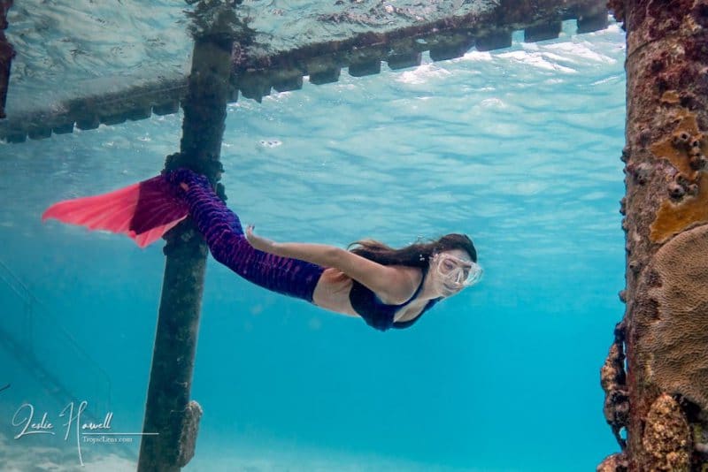 1_Bonaire_2021-10-08_11-43-04-Edited-_20211008