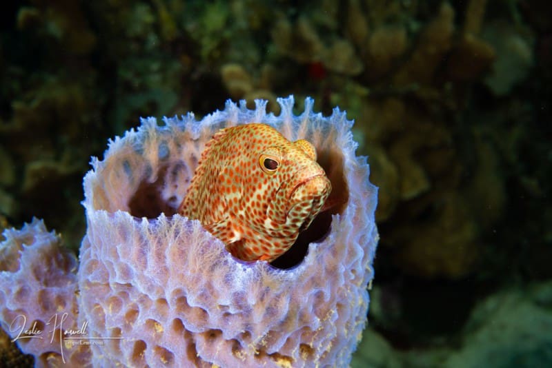 Bonaire_2021-09-05_11-50-41