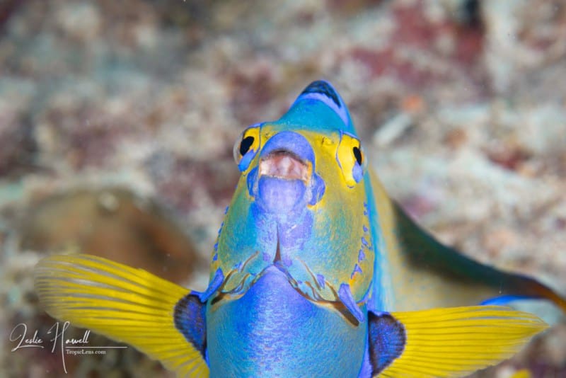 Bonaire_2021-09-07_12-55-23
