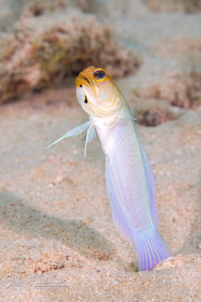 Bonaire_2021-09-07_13-34-26